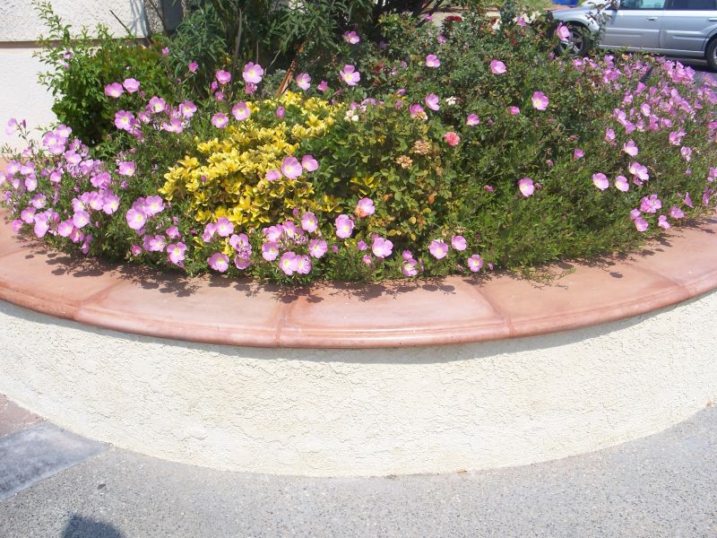 Aiuola delimitata da mattonelle in cotto per esterni